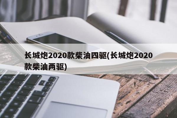 长城炮2020款柴油四驱(长城炮2020款柴油两驱)