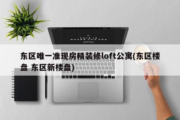 东区唯一准现房精装修loft公寓(东区楼盘 东区新楼盘)