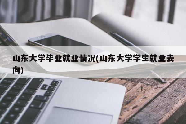山东大学毕业就业情况(山东大学学生就业去向)